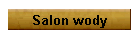 Salon wody
